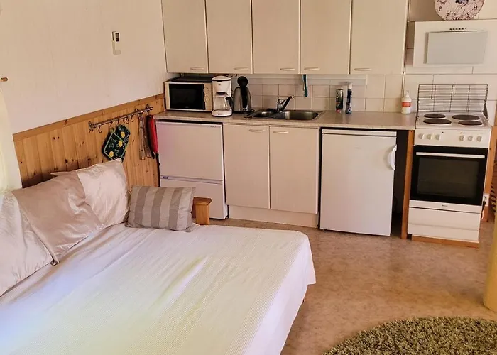 Marian Ilo, Talo Naantalissa